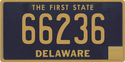 DE license plate 66236