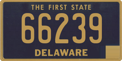 DE license plate 66239