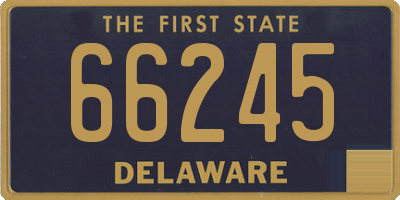 DE license plate 66245