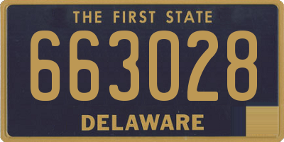 DE license plate 663028