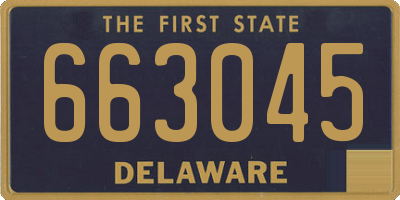 DE license plate 663045