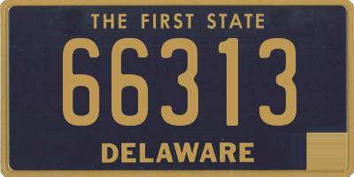 DE license plate 66313