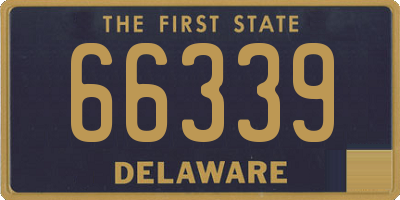 DE license plate 66339
