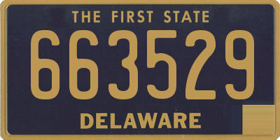 DE license plate 663529