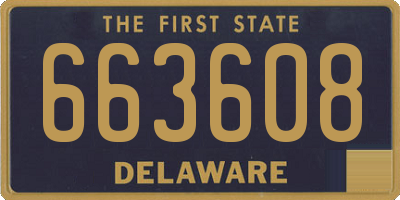 DE license plate 663608