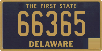 DE license plate 66365