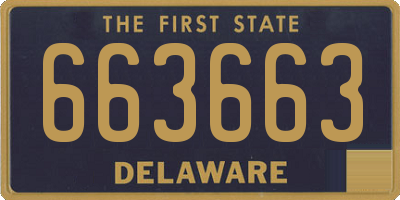 DE license plate 663663