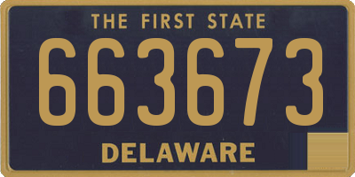 DE license plate 663673