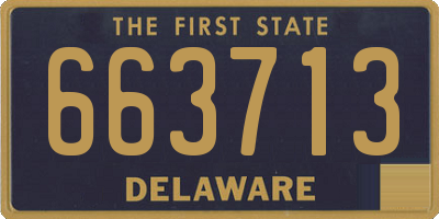 DE license plate 663713