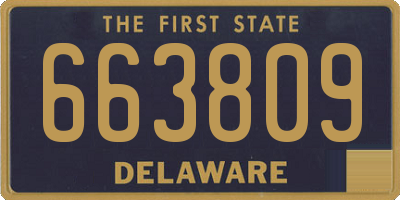 DE license plate 663809