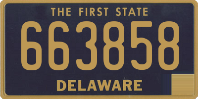 DE license plate 663858