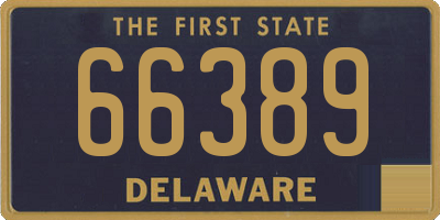 DE license plate 66389