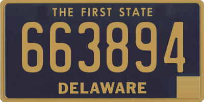 DE license plate 663894