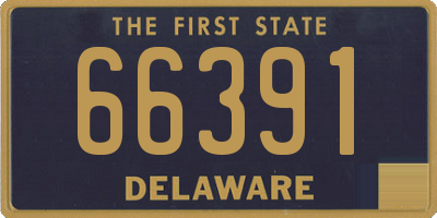 DE license plate 66391