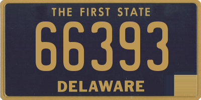 DE license plate 66393