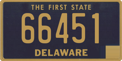 DE license plate 66451