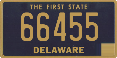 DE license plate 66455