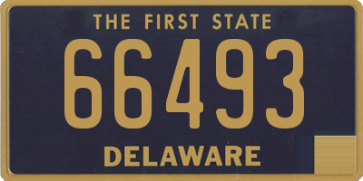 DE license plate 66493