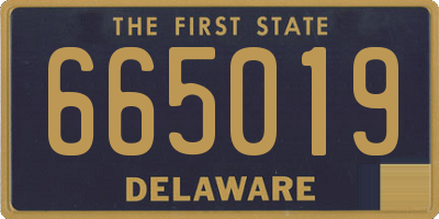 DE license plate 665019