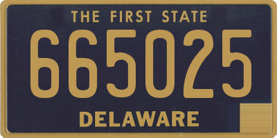 DE license plate 665025