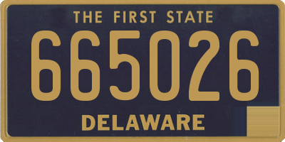 DE license plate 665026