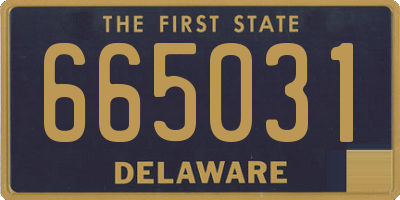 DE license plate 665031