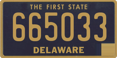 DE license plate 665033