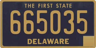 DE license plate 665035