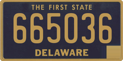 DE license plate 665036