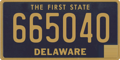DE license plate 665040