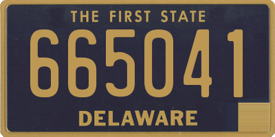 DE license plate 665041