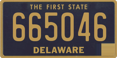 DE license plate 665046