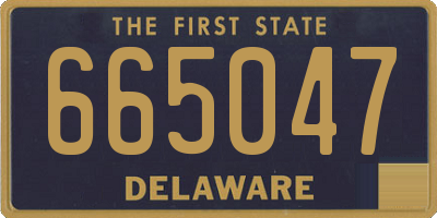 DE license plate 665047