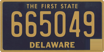 DE license plate 665049