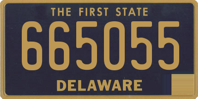 DE license plate 665055
