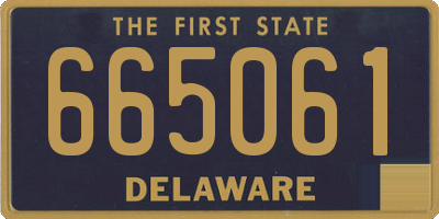 DE license plate 665061