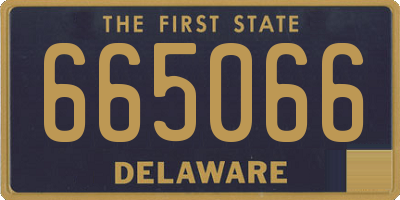DE license plate 665066