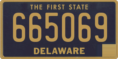 DE license plate 665069