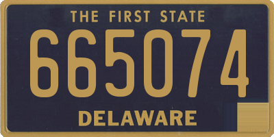 DE license plate 665074
