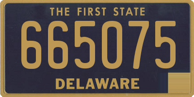 DE license plate 665075