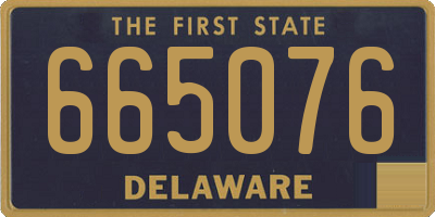 DE license plate 665076