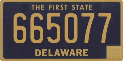 DE license plate 665077