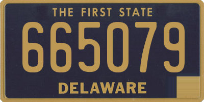 DE license plate 665079