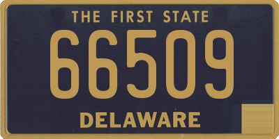 DE license plate 66509