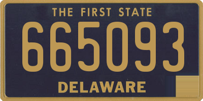 DE license plate 665093
