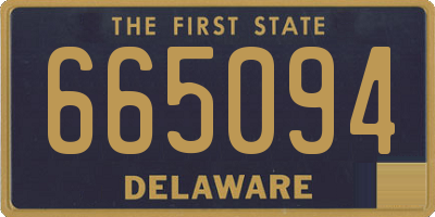 DE license plate 665094