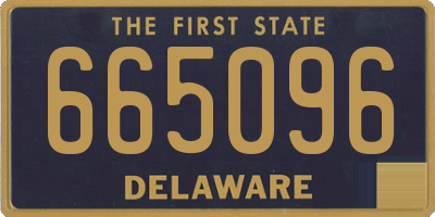 DE license plate 665096