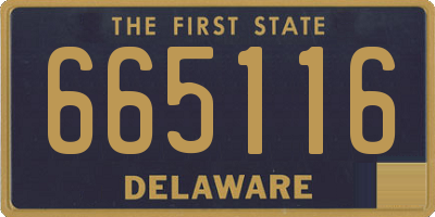 DE license plate 665116