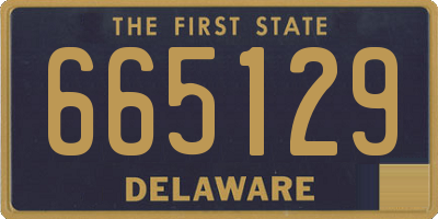 DE license plate 665129