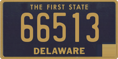 DE license plate 66513